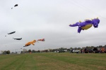 14700998_10202317676619997_6085407220147754270_o.jpg