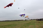 14701026_10202317675499969_2408734694081622948_o.jpg
