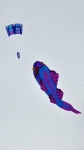 16402621_1282988911778404_6097231306707317026_o.jpg