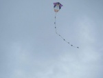 14409431_10209623217791017_7509837104573875044_o.jpg