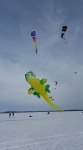 16603146_10202760064960754_6608887324232017246_n.jpg