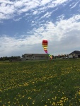 18403511_1324873204257121_4164317286702803936_n.jpg