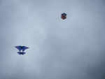 14590112_10209701463067100_2184008658495276169_o.jpg