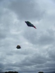 14445012_10209623225671214_3518853849169205935_o.jpg